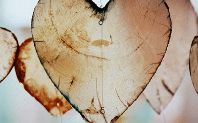 Empatia e Auto-Empatia: fracasso ou inauguração?