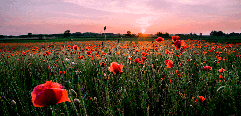 os-3-n-veis-que-a-cnv-opera_orig